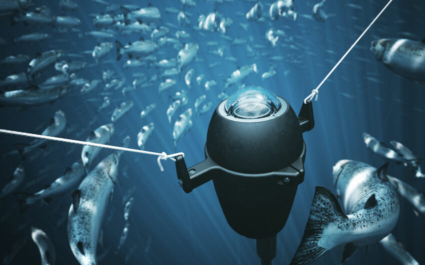 underwater inspection camera